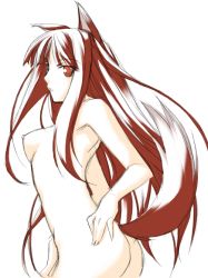 Rule 34 | 00s, 1girl, animal ears, breasts, holo, medium breasts, nipples, nude, ribi, solo, spice and wolf, tail, wolf ears, wolf tail