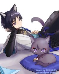 Rule 34 | 2boys, animal ears, black cat, cat, cat boy, cat ears, cat tail, closed mouth, dual persona, genshin impact, head rest, highres, japanese clothes, long sleeves, looking at viewer, multiple boys, okkobc, purple eyes, purple hair, scaramouche (cat) (genshin impact), scaramouche (genshin impact), short hair, tail, wanderer (genshin impact), white background