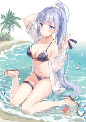 Rule 34 | 1girl, absurdres, arm up, beach, bikini, black bikini, blouse, blue eyes, breasts, bunching hair, cleavage, closed mouth, collarbone, commentary request, hair tie, halterneck, hand up, highres, holding, holding own hair, hum (ten ten), long hair, looking at viewer, medium breasts, navel, off shoulder, open clothes, open shirt, original, palm tree, ponytail, sandals, see-through, shirt, side-tie bikini bottom, sidelocks, silver hair, sitting, solo, starfish, stomach, strap gap, swimsuit, thigh strap, thighs, tree, very long hair, wariza, water, wet, wet clothes, wet shirt, white shirt