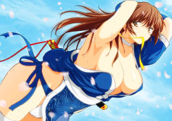 Rule 34 | 1girl, breasts, dead or alive, hair down, kasumi (doa), kettsu, large breasts, solo