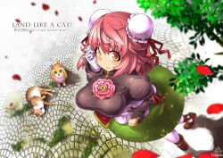 Rule 34 | 1girl, bandages, breasts, bun cover, cat, commentary request, double bun, from above, hair bun, ibaraki kasen, juliet sleeves, large breasts, long sleeves, looking at viewer, looking up, petals, puffy sleeves, red hair, shirt, skirt, solo, tabard, touhou, umigarasu (kitsune1963), yellow eyes