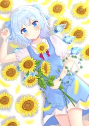 Rule 34 | 1girl, arm up, bad id, bad pixiv id, blue dress, blue eyes, blue hair, blurry, blush, bow, cirno, commentary request, depth of field, dress, drop shadow, feet out of frame, floral background, flower, hair bow, holding, holding flower, looking at viewer, lying, morning glory, nibosi, on back, petals, pinafore dress, plant, puffy short sleeves, puffy sleeves, shirt, short hair, short sleeves, sleeveless dress, smile, solo, sunflower, touhou, vines, white background, white shirt, wings