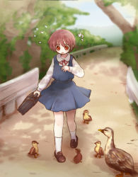 Rule 34 | 1girl, bird, blush, brown hair, duck, duckling, flustered, kawara yun, loafers, miyanaga saki, saki (manga), shoes, short hair, solo