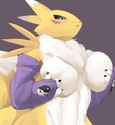 Rule 34 | 1girl, black sclera, blue eyes, colored sclera, digimon, digimon (creature), fingerless gloves, furry, furry female, gloves, letsuo, open mouth, renamon, solo