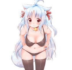 Rule 34 | 1girl, animal ears, bad id, bad pixiv id, blush, borrowed character, breasts, hanging breasts, highres, large breasts, leaning forward, original, rima (rimarip), simple background, solo, tail, thighhighs, white background
