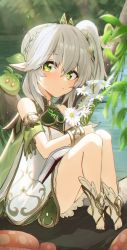 Rule 34 | 1girl, :/, absurdres, bare shoulders, barefoot, blush, book, braid, dress, flower, full body, fungi (genshin impact), genshin impact, gradient hair, green eyes, highres, holding, holding flower, horn/wood, in tree, knees up, leaf, looking at viewer, multicolored hair, mushroom, nahida (genshin impact), open book, outdoors, pointy ears, side ponytail, sitting, sitting in tree, slime (genshin impact), socks, solo, sunlight, symbol-shaped pupils, thighs, toeless footwear, toes, tree, white dress, white flower, white hair, white socks
