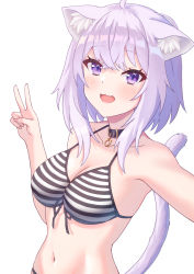 Rule 34 | 1girl, :3, :d, animal ears, antenna hair, arm up, bare arms, bare shoulders, bikini, black collar, blush, breasts, cat ears, cat girl, cleavage, collar, collarbone, fang, fang out, front-tie bikini top, front-tie top, halterneck, hololive, kaimuu (fahrenheit724), looking at viewer, medium breasts, navel, nekomata okayu, open mouth, outstretched arms, purple eyes, purple hair, selfie, sidelocks, simple background, smile, solo, string bikini, striped bikini, striped clothes, swimsuit, upper body, v, virtual youtuber, white background