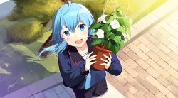 Rule 34 | 10s, 1girl, :d, ahoge, asymmetrical hair, blouse, blue eyes, blue hair, blue necktie, blue shirt, blue shorts, blush, brick floor, collarbone, crescent, crescent pin, fang, flower, flower pot, frilled shorts, frills, hair between eyes, holding, holding flower pot, holding pot, kantai collection, long sleeves, looking at viewer, looking up, matching hair/eyes, minazuki (kancolle), morning glory, necktie, open mouth, plant, plant request, pot, potted plant, sahuyaiya, school uniform, serafuku, shadow, shirt, short hair, short hair with long locks, shorts, signature, smile, solo