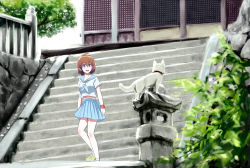 Rule 34 | 1girl, blue skirt, brown eyes, brown hair, cat, commentary request, fence, gimanyu, navel, original, outdoors, pleated skirt, school uniform, serafuku, shoes, short hair, shrine, skirt, sneakers, solo, stairs, stomach, stone lantern, tree, wristband