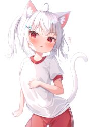 Rule 34 | 1girl, ahoge, animal ear fluff, animal ears, blush, cat ears, cat girl, cat tail, commentary request, cowboy shot, flat chest, flying sweatdrops, gym shirt, gym shorts, gym uniform, hair ornament, hairclip, highres, matchanear, original, parted lips, puffy short sleeves, puffy sleeves, red eyes, red shorts, shirt, short hair, short sleeves, shorts, side ponytail, simple background, solo, tail, white background, white hair, white shirt