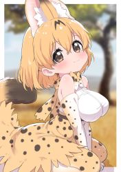 Rule 34 | 1girl, :3, animal ears, arms between legs, bare shoulders, blonde hair, blush, bow, bowtie, cat ears, cat girl, cat tail, commentary request, elbow gloves, extra ears, gloves, high-waist skirt, highres, kemono friends, looking at viewer, multicolored hair, print bow, print bowtie, print gloves, print neckwear, print skirt, print thighhighs, ransusan, seiza, serval (kemono friends), serval print, shirt, short hair, sitting, skirt, sleeveless, solo, tail, thighhighs, traditional bowtie, white shirt, yellow eyes
