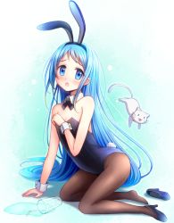 Rule 34 | 1girl, akisame rizu, animal ears, arm support, batsubyou, black footwear, black leotard, blue background, blue eyes, blue hair, bow, bowtie, brown pantyhose, cat, cup, detached collar, drinking glass, fake animal ears, flat chest, full body, glass, kantai collection, kneeling, leotard, long hair, looking at viewer, pantyhose, playboy bunny, rabbit ears, rabbit tail, samidare (kancolle), shoes, single shoe, spill, strapless, strapless leotard, tail, wrist cuffs