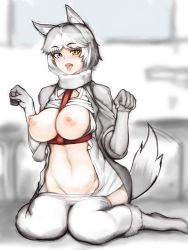 Rule 34 | 1girl, absurdres, animal ear fluff, animal ears, between breasts, blue eyes, blush, breasts, breath, clothes lift, clothes pull, dog (mixed breed) (kemono friends), dog ears, dog girl, dog tail, elbow gloves, full body, gloves, grey hair, groin, hands up, harness, heterochromia, highres, jacket, kemono friends, looking at viewer, md5 mismatch, medium breasts, motion lines, multicolored hair, navel, nipples, no bra, no pants, open clothes, open jacket, open mouth, open shirt, pantyhose, pantyhose pull, paw pose, resolution mismatch, shibori kasu, short hair, sitting, solo, source smaller, stomach, sweater, sweater lift, tail, tail wagging, tongue, tongue out, two-tone hair, undershirt, wariza, white hair, yellow eyes