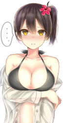 Rule 34 | 10s, 1girl, absurdres, bare shoulders, bikini, bikini top only, blush, breast hold, breasts, brown hair, cleavage, flower, hair flower, hair ornament, hibiscus, highres, kaga (kancolle), kantai collection, large breasts, mizukoshi (marumi), off shoulder, open clothes, open shirt, shirt, side ponytail, simple background, solo, speech bubble, swimsuit, white background, yellow eyes
