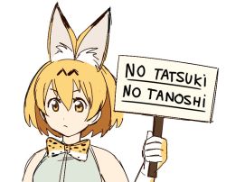 Rule 34 | 10s, 1girl, animal ears, bad id, bad twitter id, blonde hair, bow, bowtie, commentary, elbow gloves, english text, gloves, holding, holding sign, kemono friends, lavie (bansheestrikes), orange bow, orange bowtie, print bow, print bowtie, serval (kemono friends), serval print, sign, simple background, sketch, sleeveless, two-tone bowtie, white background, white bow, white bowtie, yellow eyes