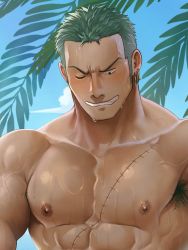 Rule 34 | 1boy, abs, armpit hair, armpits, bara, blush, cropped, frown, gorou naoki, green hair, grin, highres, large pectorals, long sideburns, looking down, male focus, muscular, muscular male, nipples, no scar, nude, one eye closed, one piece, pectorals, roronoa zoro, short hair, sideburns, sky, smile, solo, sweat, tree