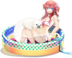 Rule 34 | 1girl, bare shoulders, bikini, blue eyes, breasts, cleavage, highres, hose, long hair, medium breasts, navel, nicole pmonachi, open mouth, original, partially submerged, red hair, seal (animal), sitting, solo, swimsuit, two side up, wading pool, white bikini