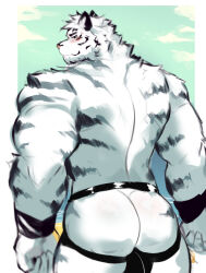 Rule 34 | 1boy, animal ears, arknights, armband, ass, ass focus, back, bara, black male underwear, blue eyes, blush, artistic error, facial hair, feet out of frame, from behind, furry, furry male, goatee, highres, jockstrap, large hands, looking at viewer, male focus, male underwear, mountain (arknights), muscular, muscular male, no scar, no tail, seductive smile, short hair, smile, solo, teo (placid69), thick eyebrows, thick thighs, thighs, tiger boy, tiger ears, topless male, underwear, white fur, white hair