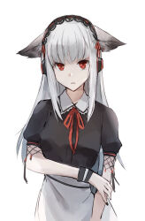 Rule 34 | 1girl, animal ear fluff, animal ears, apron, arknights, black shirt, breasts, collared shirt, dress shirt, e-bushi, frostleaf (arknights), headphones, long hair, looking at viewer, neck ribbon, parted lips, puffy short sleeves, puffy sleeves, red eyes, red ribbon, ribbon, shirt, short sleeves, simple background, small breasts, solo, very long hair, waist apron, white apron, white background, white hair
