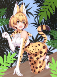 Rule 34 | 10s, 1girl, :d, all fours, animal ears, elbow gloves, etan14, full body, gloves, highres, kemono friends, open mouth, paw pose, serval (kemono friends), serval print, serval tail, short hair, smile, solo, tail, thighhighs, yellow eyes