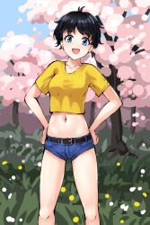 Rule 34 | 1girl, :d, aposine, belt, black belt, black hair, blue eyes, blue shorts, blue sky, breasts, cherry blossoms, collarbone, cowboy shot, crop top, cropped shirt, day, grass, hands on own hips, looking at viewer, medium breasts, navel, open mouth, original, outdoors, shirt, short hair, short shorts, shorts, sky, smile, solo, spring (season), standing, t-shirt, tomboy, tongue, tree, yellow shirt