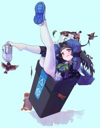 Rule 34 | 1girl, absurdres, binoculars, bird, black gloves, black hair, blue archive, blue background, blue shirt, blue skirt, blunt bangs, closed mouth, full body, gloves, green neckerchief, halo, highres, ikky, in container, in trash can, knee pads, leaf, leaf on head, long hair, long sleeves, looking at viewer, miyu (blue archive), neckerchief, pantyhose, pink eyes, school uniform, serafuku, shirt, shoe dangle, shoe soles, shoes, simple background, single knee pad, single shoe, skirt, sneakers, thighs, trash can, white footwear, white pantyhose