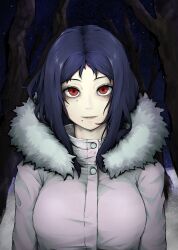 Rule 34 | 1girl, bare tree, blue hair, breasts, chainsaw man, closed mouth, commentary, fur-trimmed hood, fur trim, highres, hood, hood down, hooded jacket, jacket, large breasts, light smile, long sleeves, looking at viewer, medium hair, mole, mole on cheek, mole under eye, mole under mouth, multiple moles, night, night sky, outdoors, red eyes, saketobaku, santa claus (chainsaw man), sky, solo, star (sky), tree, upper body, white jacket