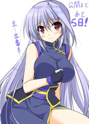 Rule 34 | 1girl, ahoge, black gloves, blush, breasts, commentary request, dress, endori, fingerless gloves, gloves, large breasts, long hair, looking at viewer, lyrical nanoha, mahou shoujo lyrical nanoha, mahou shoujo lyrical nanoha a&#039;s, red eyes, reinforce, silver hair, sleeveless, sleeveless dress, solo, translation request, very long hair