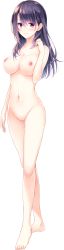 Rule 34 | 1girl, absurdres, completely nude, full body, gin (oyoyo), highres, koi wa sotto saku hana no you ni, nipples, no pussy, non-web source, nude, official art, solo, standing, transparent background