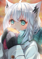 Rule 34 | 1girl, absurdres, ahoge, alternate costume, animal ears, aqua eyes, autumn, black mittens, black ribbon, blue scarf, braid, coat, commentary, double-parted bangs, eating, food, fox ears, hair between eyes, hair ribbon, highres, hinagi k, holding, holding food, hololive, long hair, looking at viewer, low ponytail, mittens, open mouth, ribbon, roasted sweet potato, scarf, shirakami fubuki, side braid, solo, steam, sunset, sweet potato, upper body, virtual youtuber, white coat, white hair
