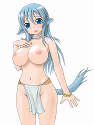 Rule 34 | animal ears, blue eyes, blue hair, blush, breasts, futon7979, large breasts, tail