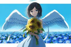 Rule 34 | angel, angel wings, bare arms, bare shoulders, black hair, blue eyes, blue flower, character request, closed mouth, copyright request, cowboy shot, dress, expressionless, eyebrows hidden by hair, falling petals, feathered wings, field, flower, flower field, halo, highres, holding, holding flower, letterboxed, light blue background, looking at viewer, medium hair, nemophila (flower), outside border, petals, sidelighting, sleeveless, sleeveless dress, standing, sunflower, tirudo29, white dress, white wings, wings, yellow flower