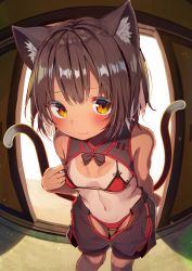 Rule 34 | 1girl, :3, absurdres, alternate costume, animal ear fluff, animal ears, bare arms, bare shoulders, bikini, blush, breasts, brown eyes, brown hair, cat ears, cat tail, chen, chinese clothes, closed mouth, fang, fang out, fisheye, highres, indoors, leaning forward, light smile, looking at viewer, mamemochi, multiple tails, navel, red bikini, short hair, small breasts, solo, standing, stomach, string bikini, swimsuit, tail, tan, tanline, tatami, thigh gap, touhou, two tails