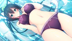 Rule 34 | 1girl, animal ears, aqua eyes, aristear remain, arm behind back, ass, black hair, blush, bow, bow panties, bra, breasts, cat ears, cat tail, dutch angle, game cg, green eyes, hand on own chest, himeno haruka, long hair, looking at viewer, navel, panties, ponytail, purple bra, purple panties, rozea (graphmelt), smile, solo, standing, tail, underwear, underwear only, very long hair