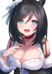 Rule 34 | 1girl, animal, animal ears, black hair, blue eyes, blush, breasts, bug, choker, cleavage, collarbone, commentary request, detached sleeves, dirndl, eishin flash (umamusume), german clothes, hashiko nowoto, horse ears, horse girl, insect, ladybug, large breasts, looking at viewer, open mouth, red choker, revision, short hair, simple background, smile, solo, teeth, umamusume, upper body, upper teeth only, white background