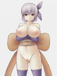 Rule 34 | + (tas28282000), ayane (doa), breasts, cleft of venus, dead or alive, fat mons, highres, huge breasts, nipples, pussy, tagme, tecmo, uncensored