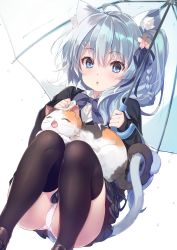 Rule 34 | animal ears, asashio (azur lane), asashio (the transfer student underneath the dancing petals) (azur lane), azur lane, black thighhighs, blue eyes, blue hair, cat, cat ears, cat tail, commentary request, hair ornament, hairclip, highres, looking at viewer, mayusaki yuu, panties, pantyshot, school uniform, simple background, sitting, solo, tail, thighhighs, umbrella, underwear, white background, white panties