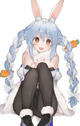 Rule 34 | 1girl, animal ear fluff, animal ears, bad id, bad twitter id, bare shoulders, black gloves, blue hair, blush, braid, carrot, carrot hair ornament, coat, food-themed hair ornament, fur trim, gloves, hair ornament, highres, hololive, leotard, long hair, looking at viewer, multicolored hair, open mouth, pantyhose, playboy bunny, rabbit ears, rabbit girl, red eyes, rippootai, scarf, simple background, sitting, sketch, solo, thighs, twin braids, usada pekora, usada pekora (1st costume), virtual youtuber, white background, white coat, white hair