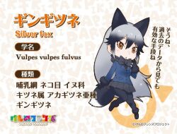 Rule 34 | 1girl, animal ears, extra ears, kemono friends, looking at viewer, official art, silver fox (kemono friends), simple background, solo, tail, yoshizaki mine