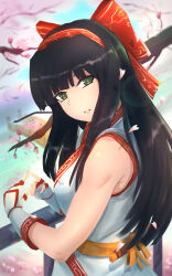 Rule 34 | 1girl, ainu clothes, black hair, breasts, cherry blossoms, fingerless gloves, gloves, green eyes, hair ribbon, highres, long hair, looking at viewer, medium breasts, nakoruru, ribbon, samurai spirits, sideboob, smile, snk, solo, the king of fighters, weapon