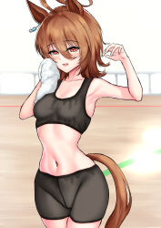 Rule 34 | 1girl, absurdres, agnes tachyon (umamusume), ahoge, alternate costume, animal ears, bare shoulders, black shorts, black sports bra, breasts, brown hair, closed mouth, commentary request, grey background, hair between eyes, highres, horse ears, horse girl, horse tail, looking at viewer, manu lee, medium breasts, messy hair, midriff, navel, on ground, red eyes, short hair, shorts, simple background, sitting, solo, sports bra, tail, umamusume