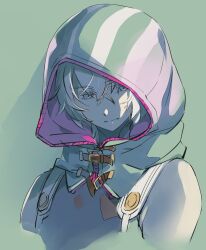 Rule 34 | blue eyes, closed mouth, copyright request, cropped torso, green background, hair between eyes, hood, hood up, kanikame, looking away, looking down, looking to the side, simple background, solo, upper body, white hair