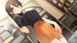 Rule 34 | 1girl, akinashi yuu, blue eyes, blurry, blurry background, breasts, brown hair, closed mouth, cowboy shot, depth of field, dutch angle, game cg, hair between eyes, hara ryouko, highres, indoors, large breasts, light smile, long hair, ponytail, ryuusei world actor, skirt, solo, very long hair, waitress