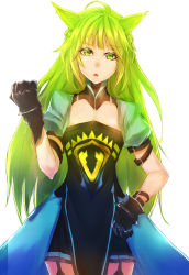 Rule 34 | 1girl, animal ears, atalanta (fate), craim, dress, fate/apocrypha, fate/grand order, fate (series), flat chest, gloves, green eyes, green hair, highres, lion ears, long hair, matching hair/eyes, simple background, solo, white background