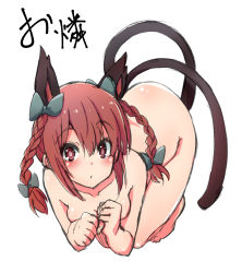 Rule 34 | 1girl, animal ears, bad id, bad pixiv id, barefoot, blush, bow, braid, breasts, cat ears, cat tail, character name, extra ears, full body, hair bow, kaenbyou rin, looking at viewer, multiple tails, nude, red eyes, red hair, shirokuma (nankyoku), simple background, sketch, small breasts, solo, tail, touhou, twin braids, white background