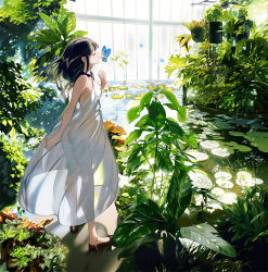 Rule 34 | 1girl, animal, ass, bare arms, bare shoulders, black footwear, black hair, breasts, bug, butterfly, commentary request, day, dress, closed eyes, full body, greenhouse, halter dress, halterneck, highres, indoors, insect, leaf, lily pad, long hair, no panties, original, plant, see-through, sleeveless, sleeveless dress, small breasts, solo, standing, sunlight, umishima senbon, water