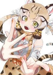 Rule 34 | 1girl, animal ears, bow, bowtie, cat ears, cat girl, cat tail, extra ears, geoffroy&#039;s cat (kemono friends), green eyes, grey hair, highres, kedama (ughugjydthjdf), kemono friends, kemono friends v project, long hair, looking at viewer, microphone, nail art, open mouth, ribbon, shirt, simple background, skirt, solo, suspenders, tail, twintails, virtual youtuber