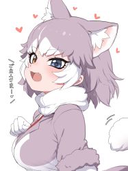 Rule 34 | 1girl, :3, animal ears, blue eyes, commentary request, dog (mixed breed) (kemono friends), dog ears, dog girl, dog tail, extra ears, fang, fur trim, grey fur, grey hair, grey jacket, harness, heart, heterochromia, highres, jacket, kemono friends, multicolored hair, open mouth, profile, ransusan, scarf, short hair, short sleeves, solo, tail, translation request, two-tone hair, upper body, white hair, white neckwear, yellow eyes