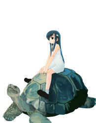 Rule 34 | 1girl, black hair, dress, expressionless, hair ornament, hairclip, houmitsu, long hair, necktie, original, riding, shoes, short dress, sidelocks, simple background, size difference, sleeveless, sleeveless dress, socks, solo, tortoise, turtle, v arms, very long hair
