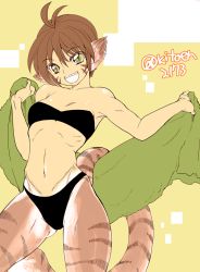 Rule 34 | 1girl, animal ears, bra, breasts, breath of fire, breath of fire ii, brown hair, capcom, cat ears, cat tail, cleavage, commentary request, facial mark, furry, furry female, green eyes, kitou en, looking at viewer, no pants, panties, pointy ears, rinpoo chuan, short hair, smile, solo, tail, underwear